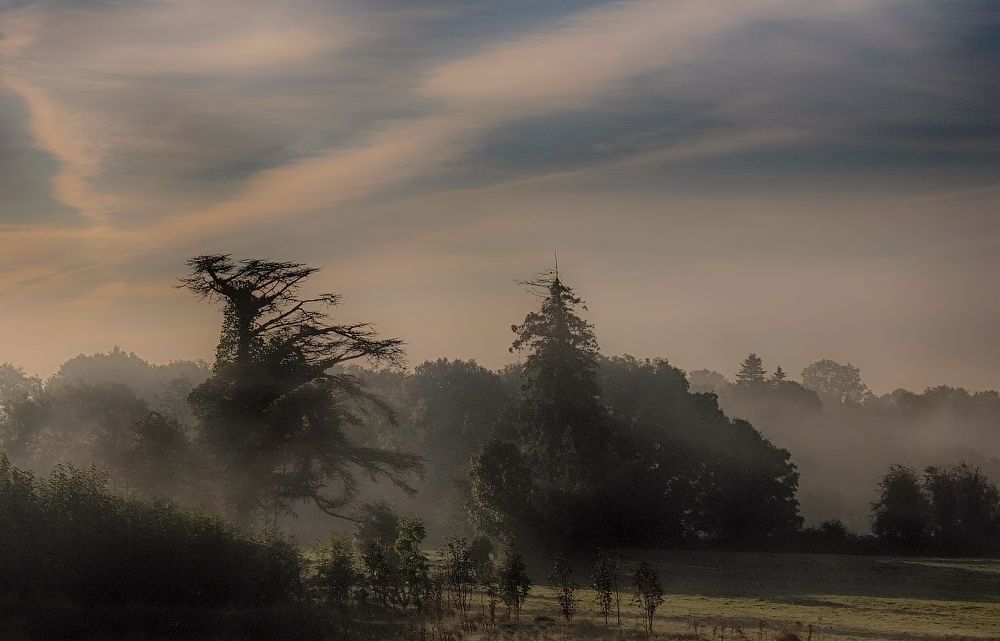 Strange and ... Morning ...