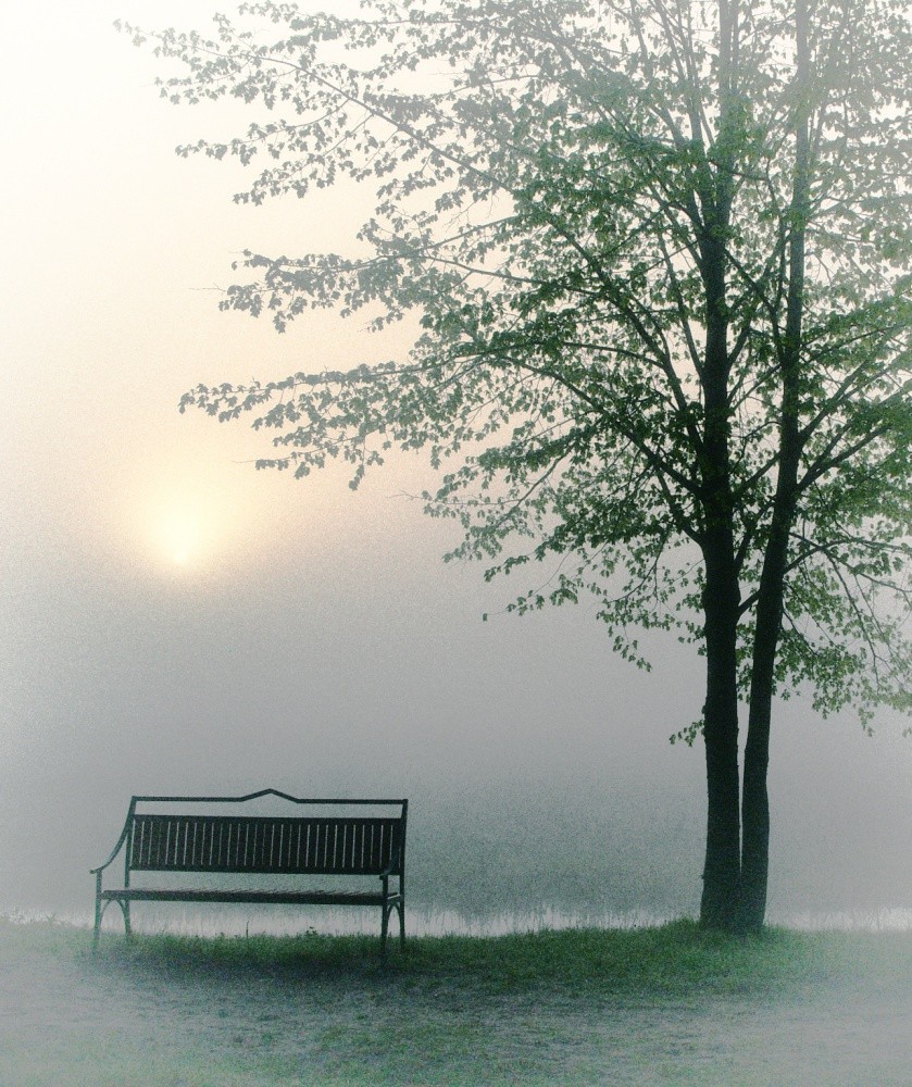 Küss mich im Morgengrauen