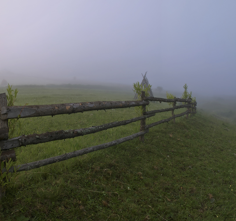 Über Nebel und Hecken ...