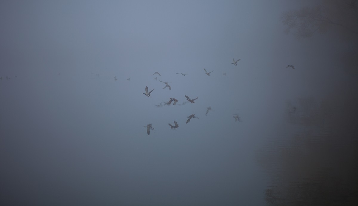 Herbstmorgen fremden Stadt