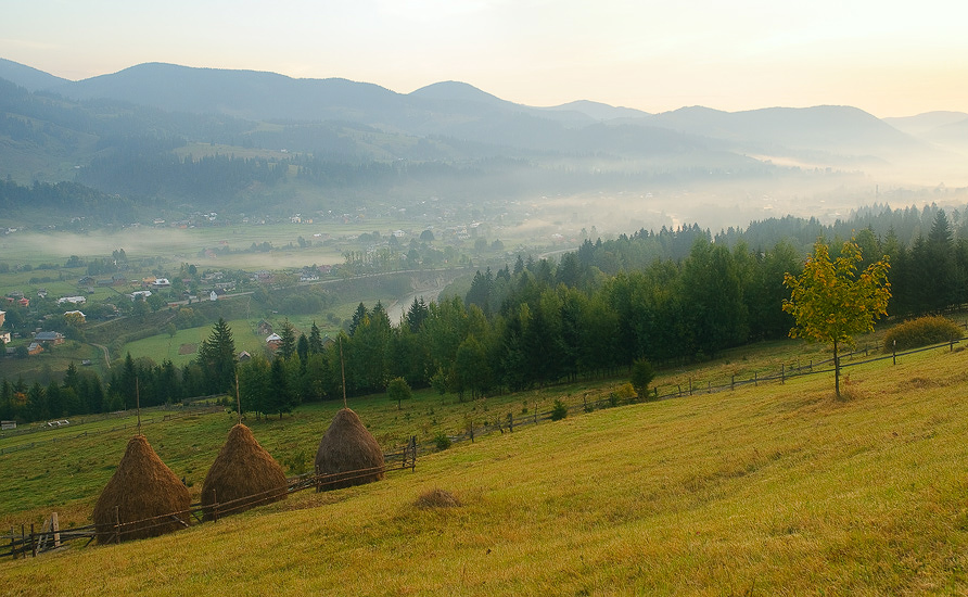 Carpathian Morgen