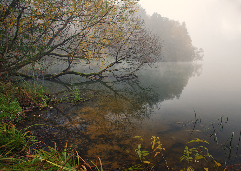 Morning ... (mini-series) ...