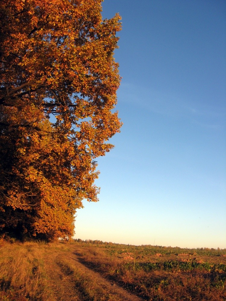 Autumn unserer Liebe