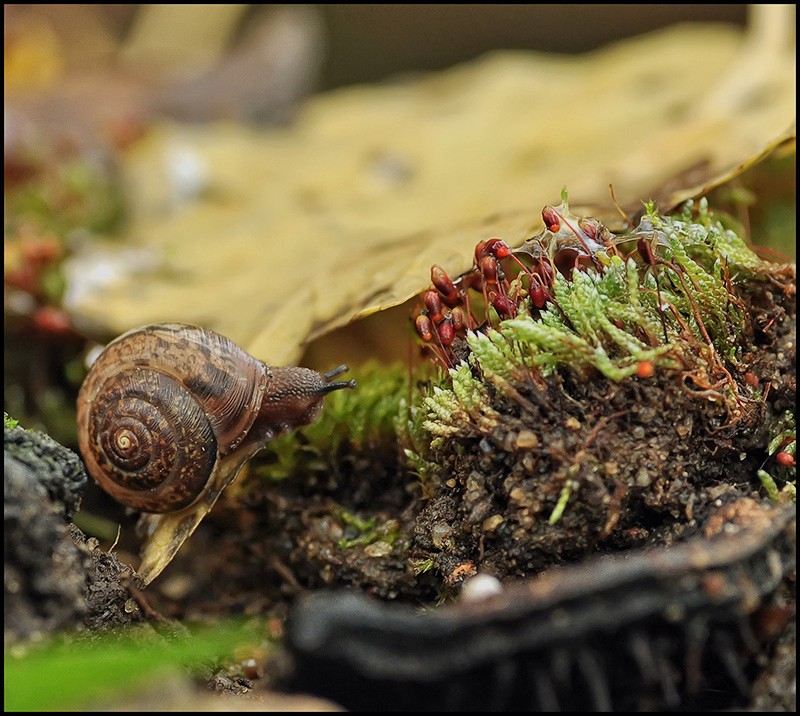 Ich habe hier war gewesen ...