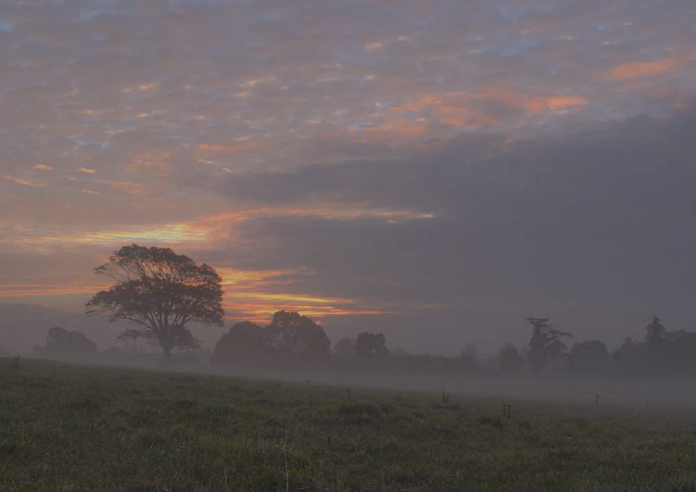 FLAME Morgengrauen ......