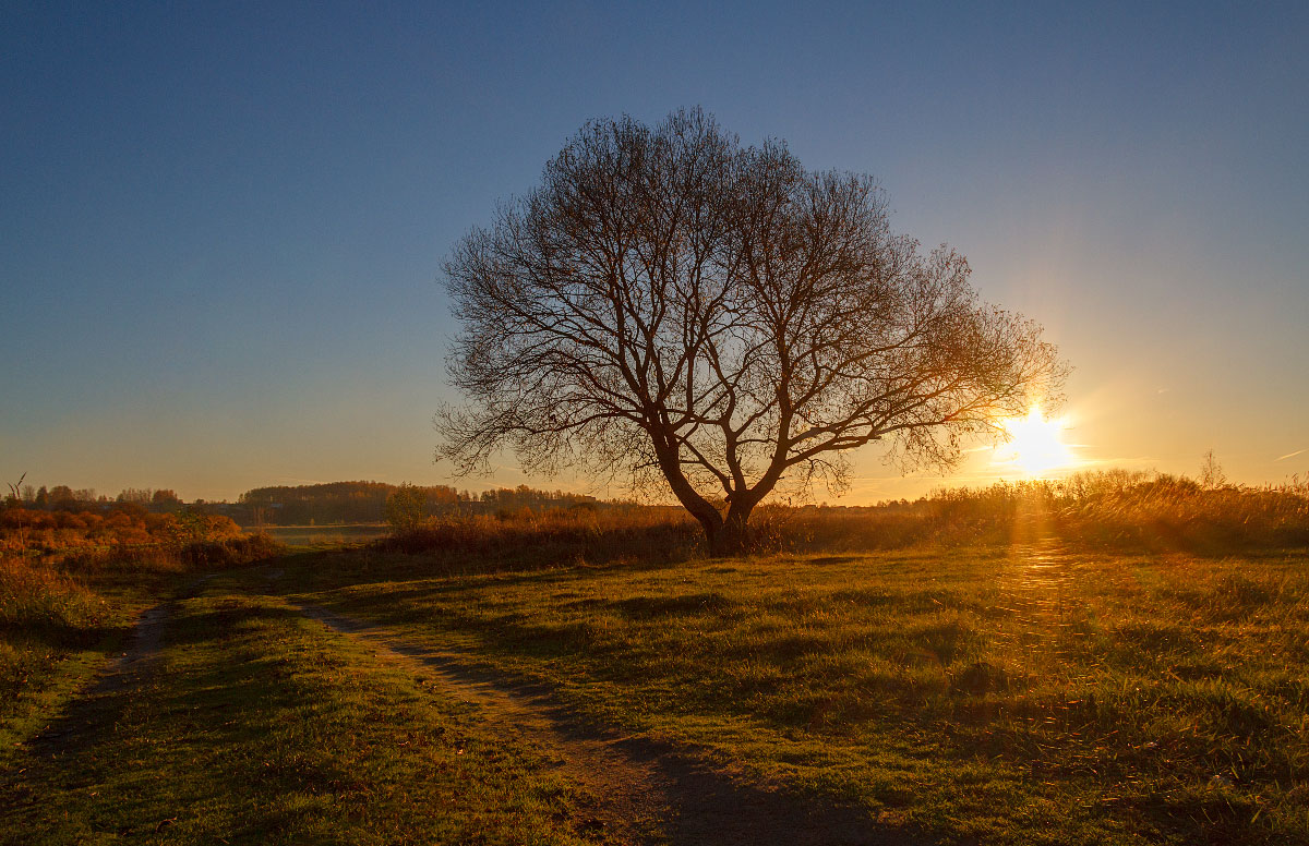 Autumn Sunset mit hauchdünnen