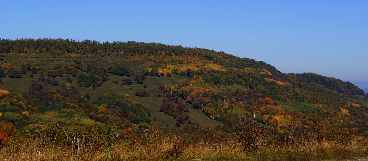 Herbst in den Bergen
