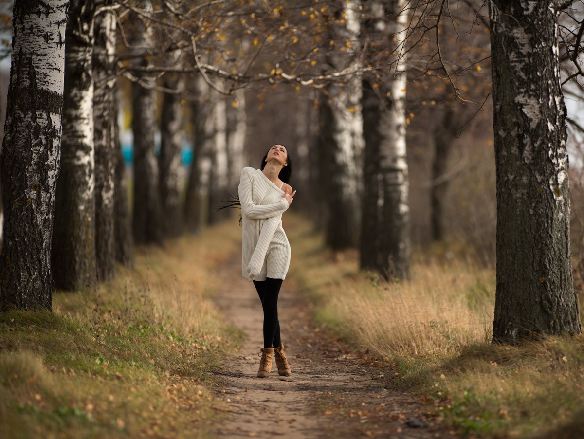 Gefangen in den Birken