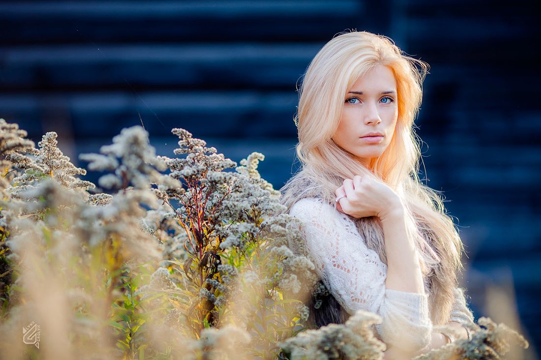 Ein wenig Sonne November