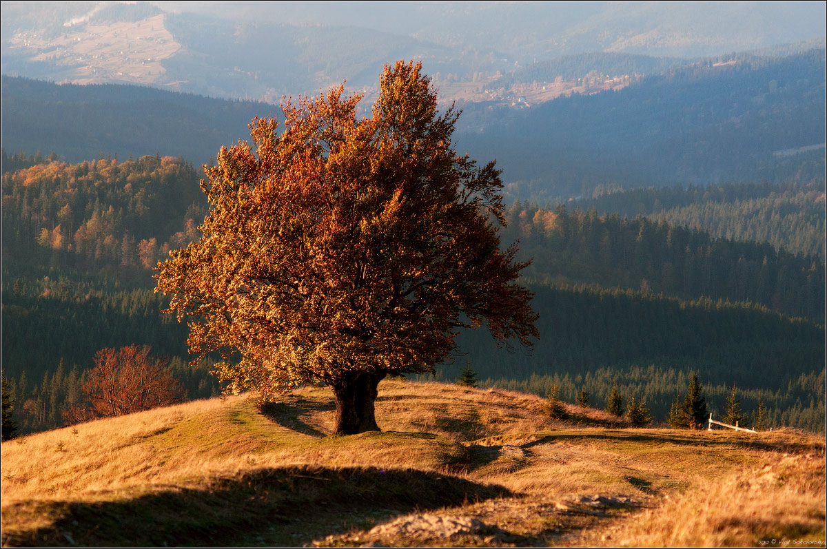 / Über den goldenen Herbst ... /