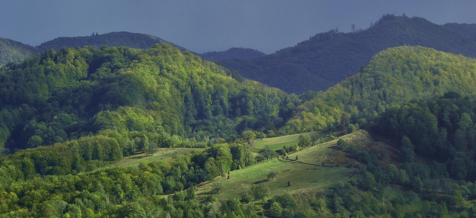Berücksichtigung des Abstandes
