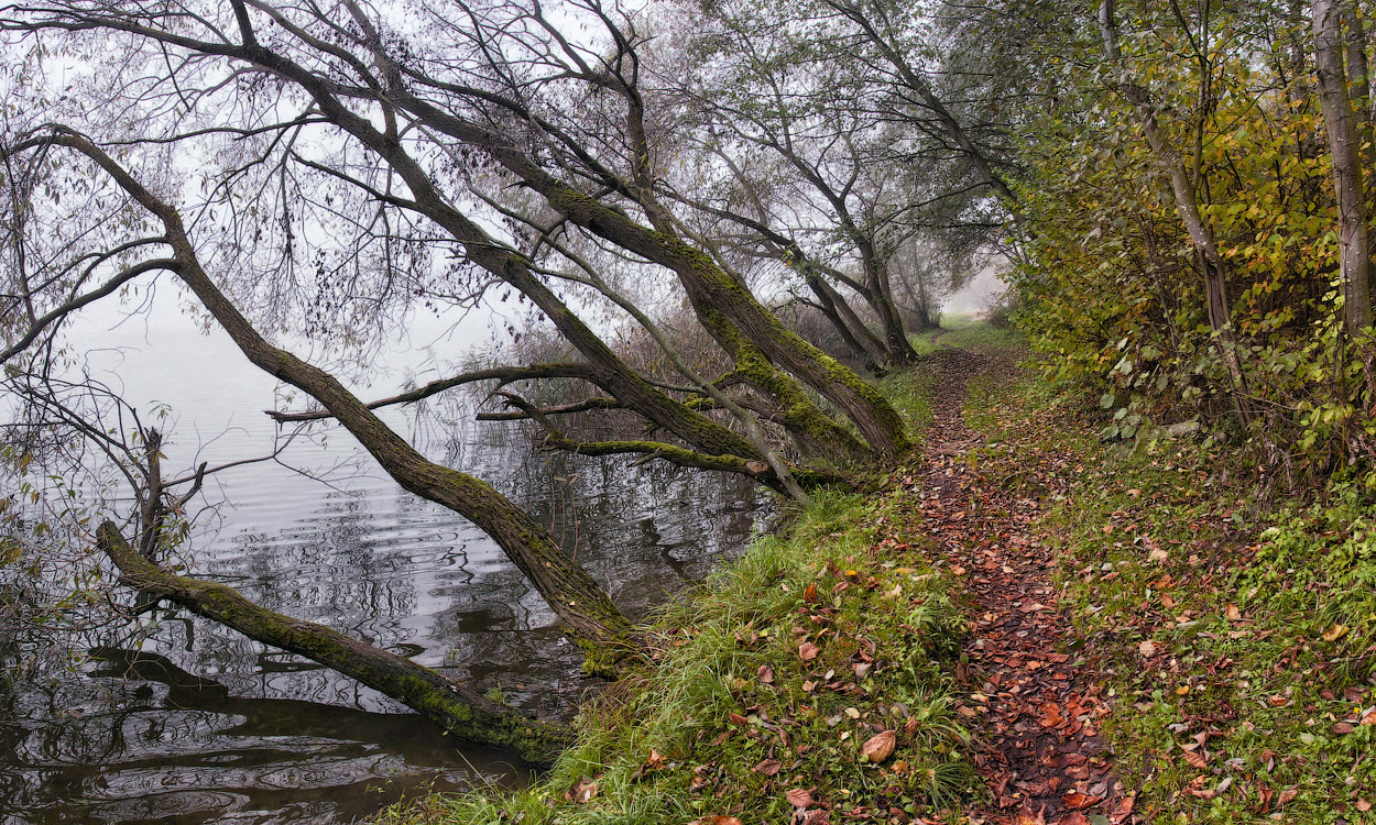 Autumn Morning (Serie)