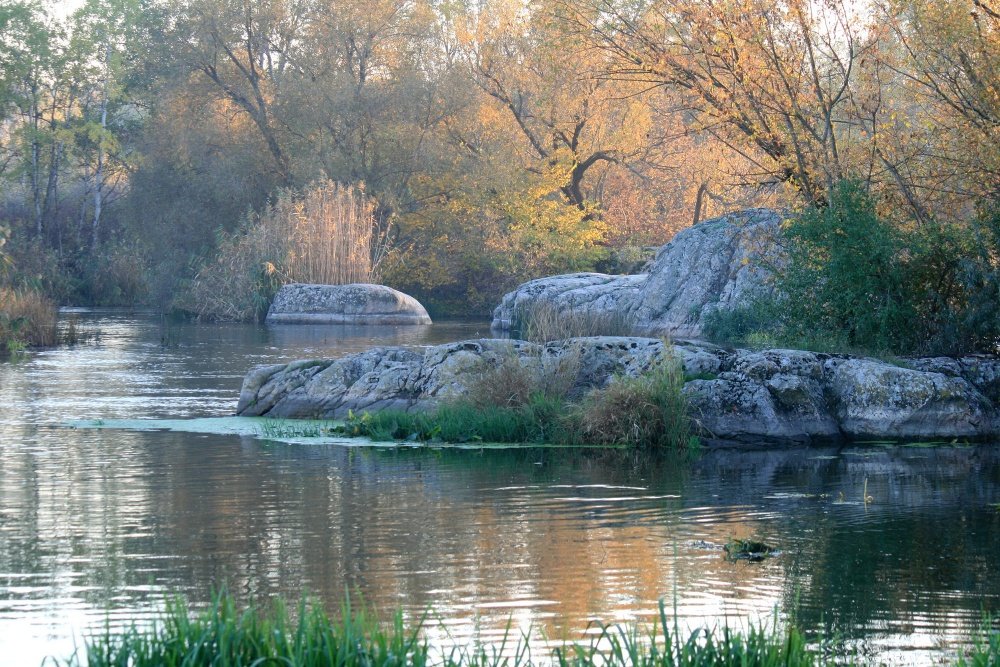 Im goldenen Sonnenlicht