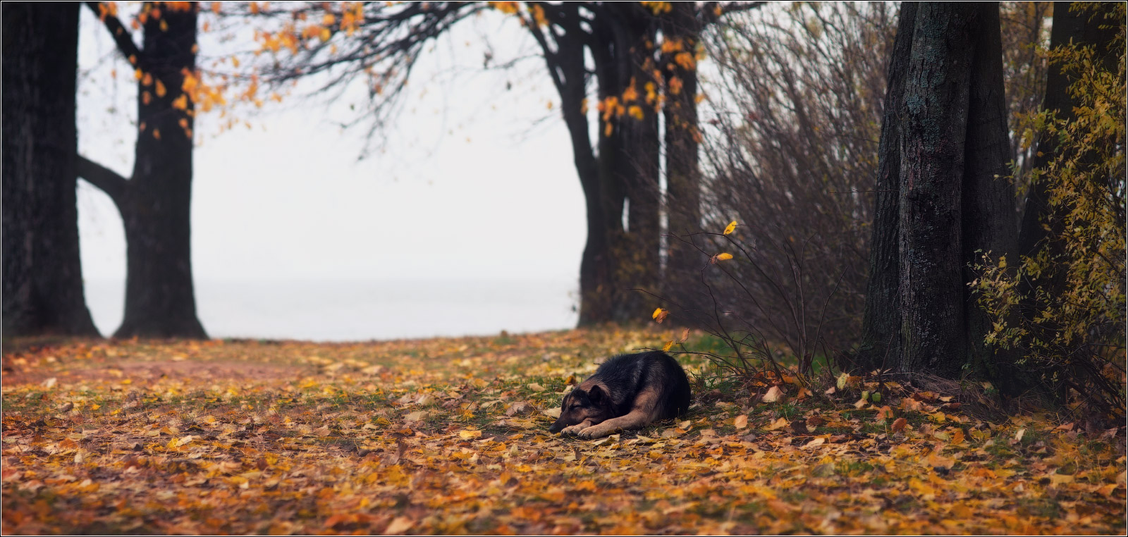 Einsamkeit - ein Bastard ........