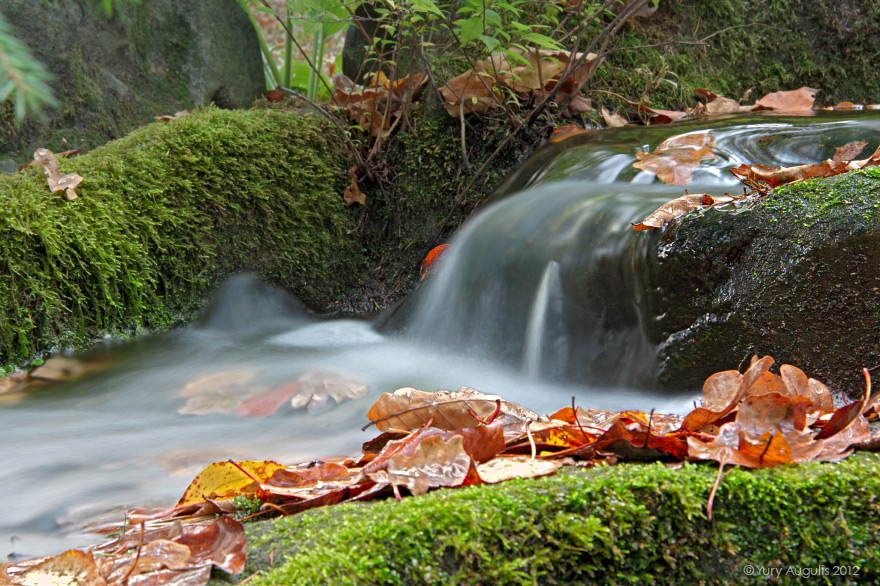 Autumn creek
