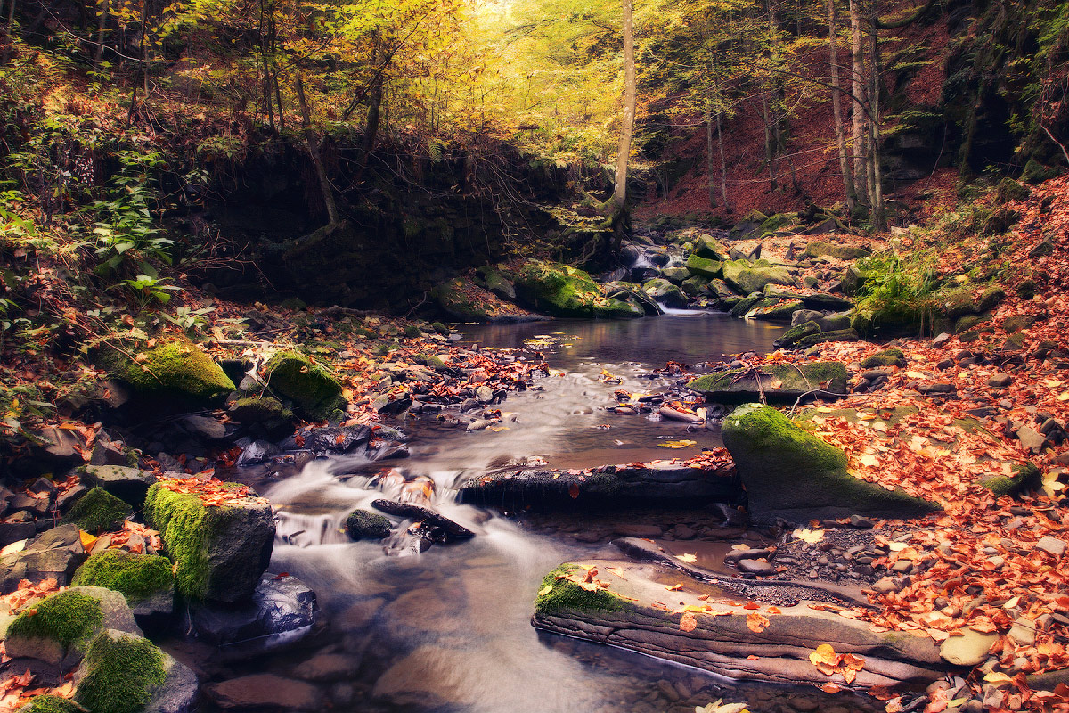 ........ Auf dem Weg zum Berg ......