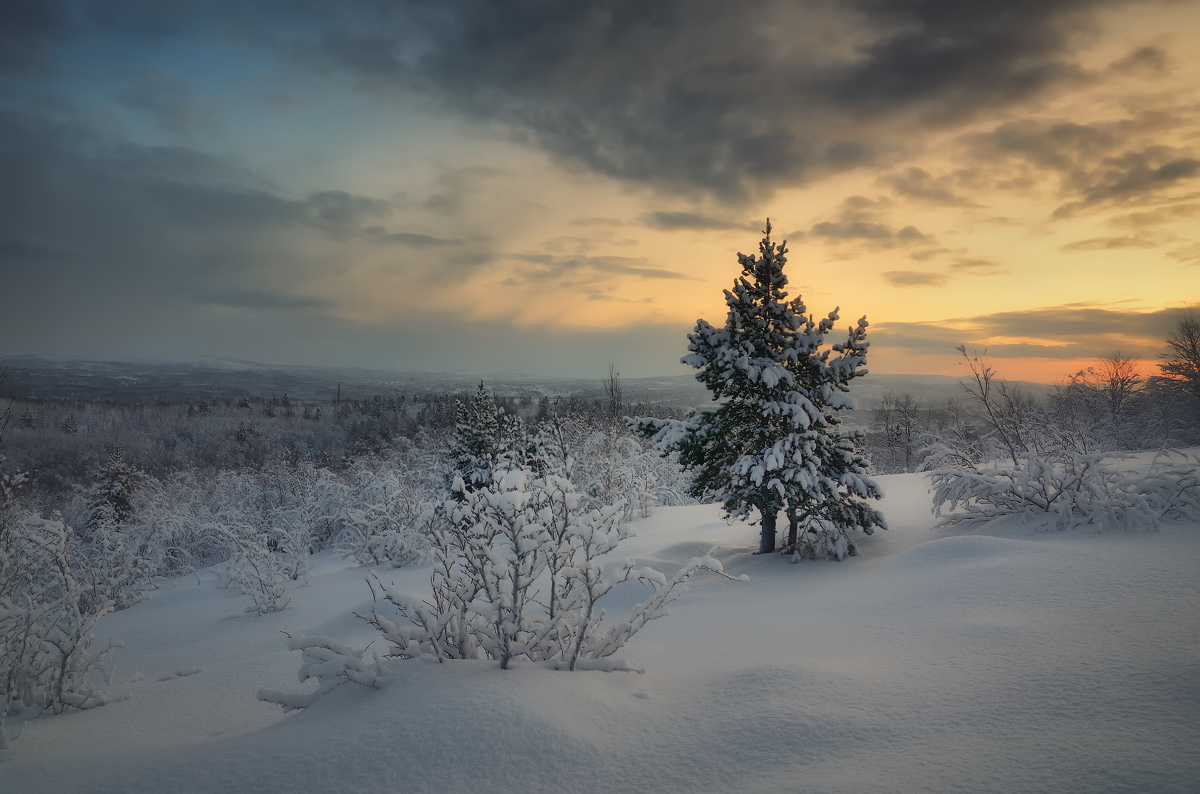 Wir freuen uns auf das Wochenende ...