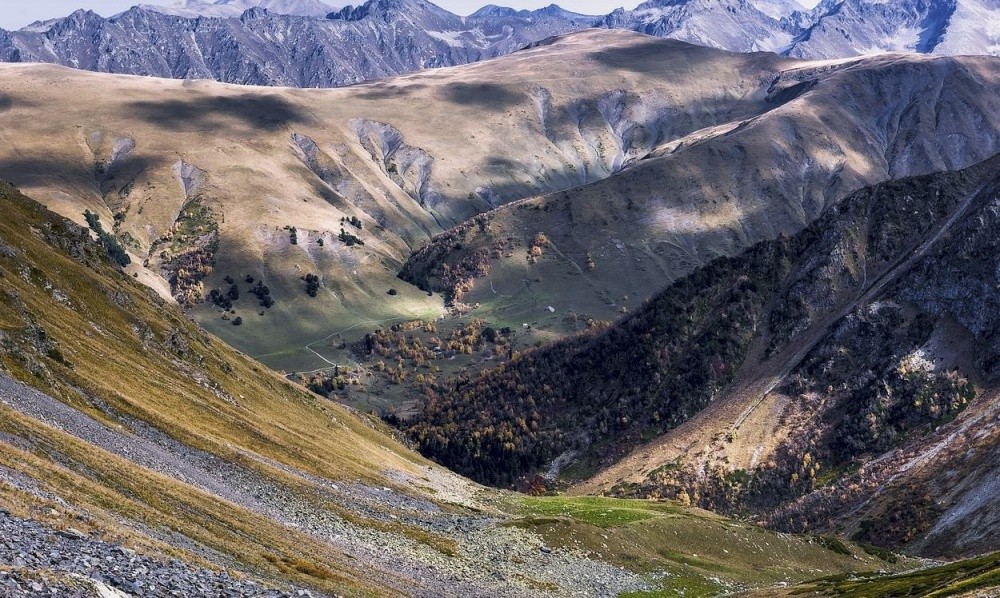 Sofia Tal Augen Vögel