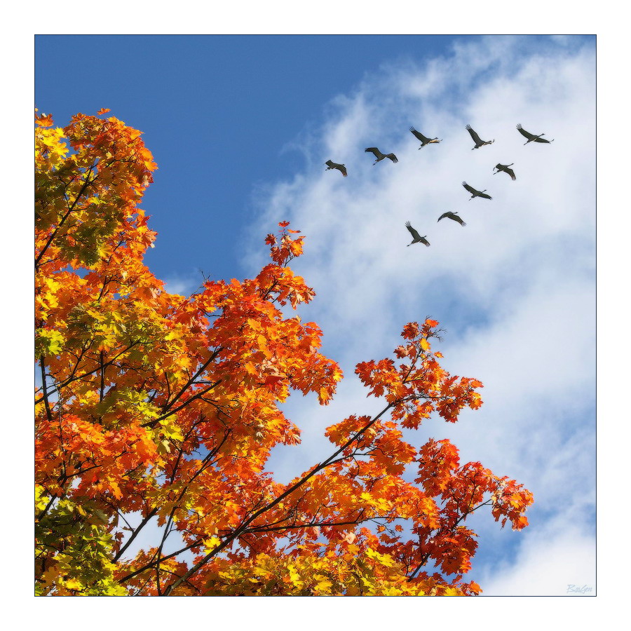 Wiederholte sich in der Welt der Unausweichlichkeit