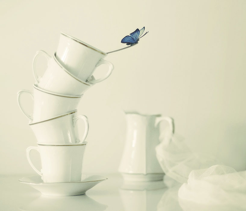 Der Sommer ist zurück .....