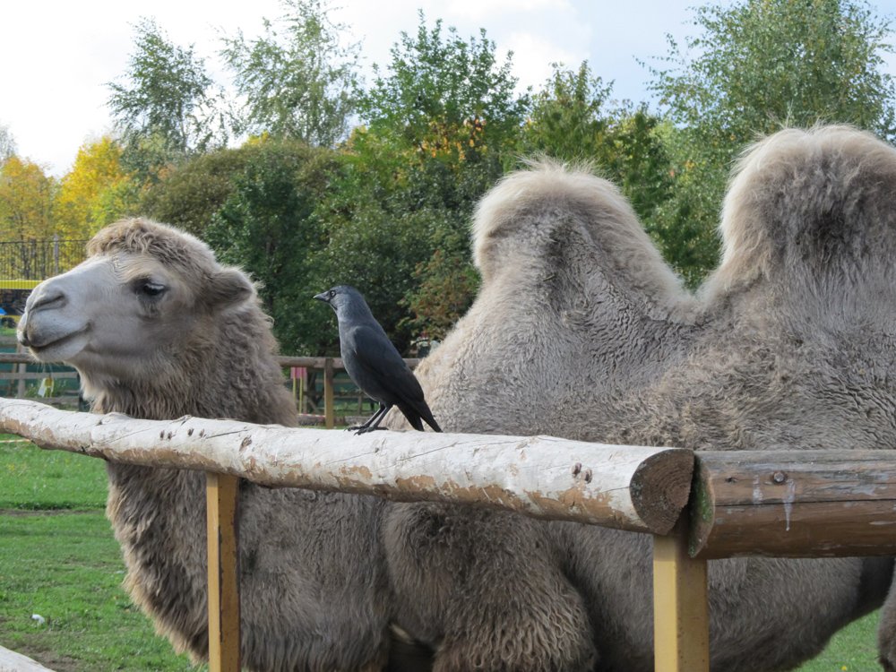 Lasst uns reden Bruder