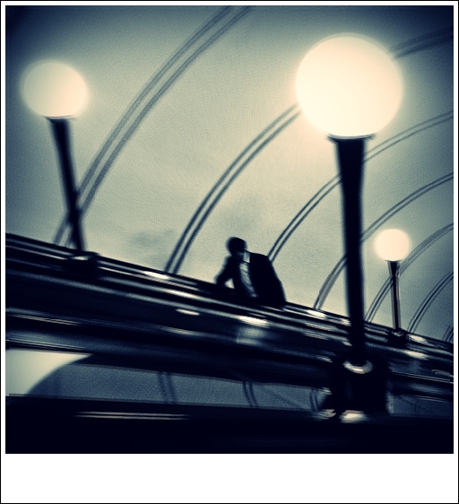 Reticulum Curiosa II