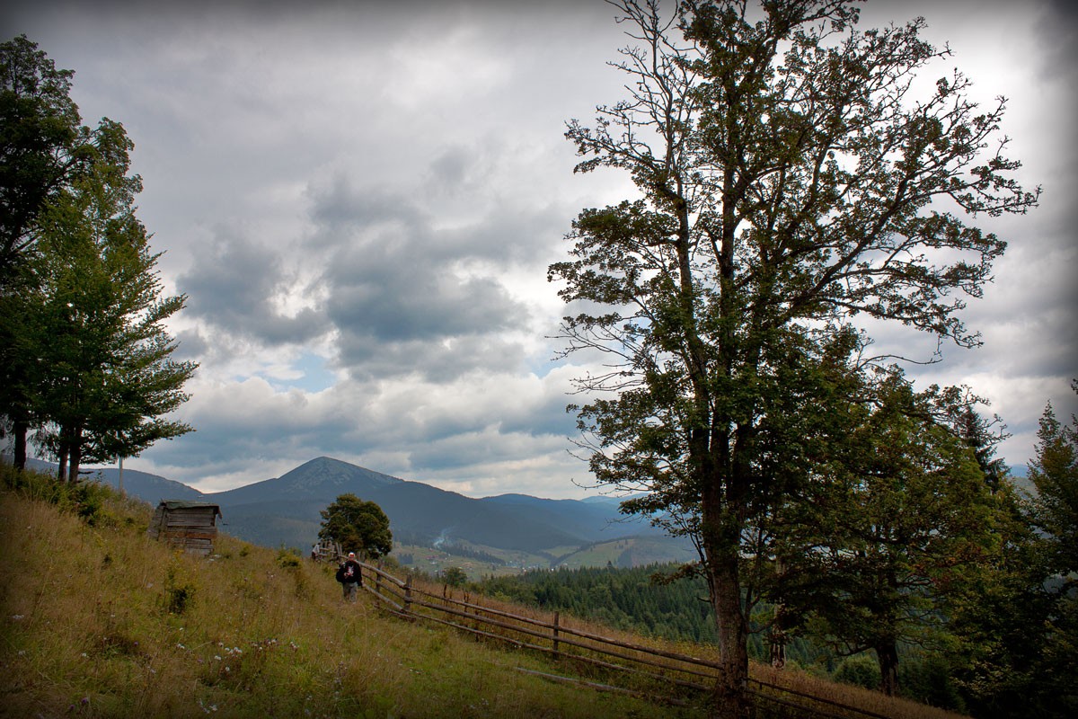 Die einsamen Reisenden
