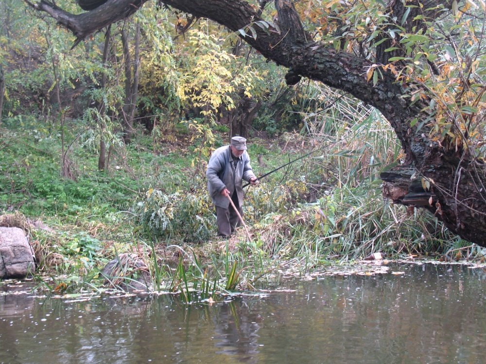 Dies ist nicht ein Hobby ...