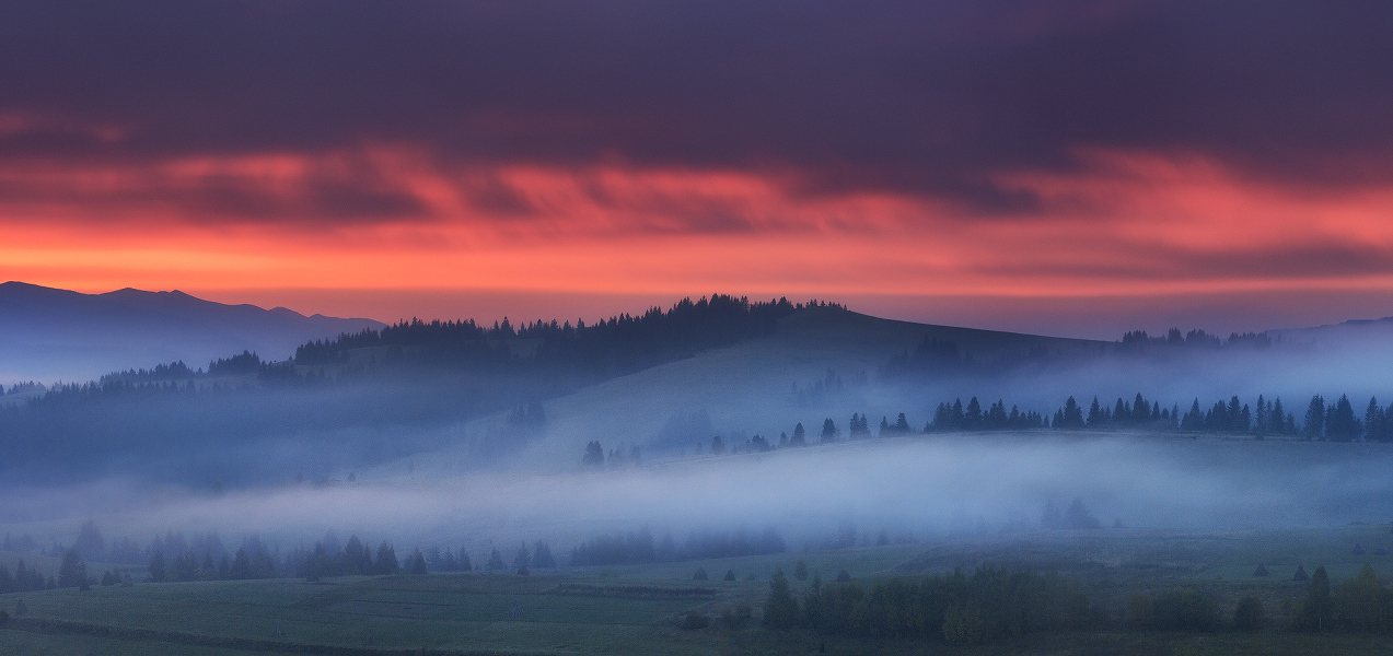 Die Geschichte eines Morgens ...............