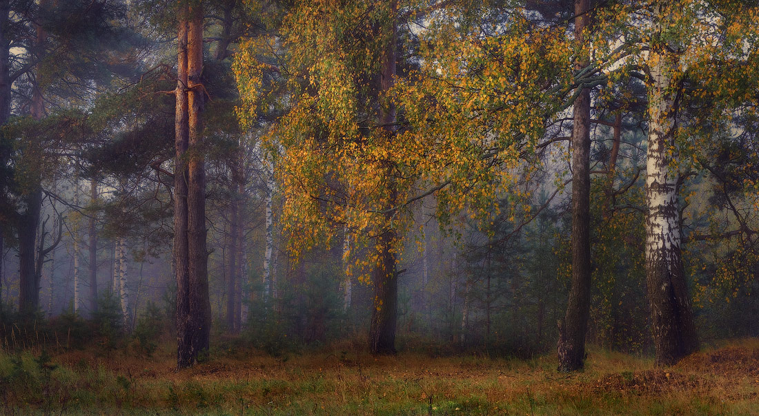 Remembering the fall ...