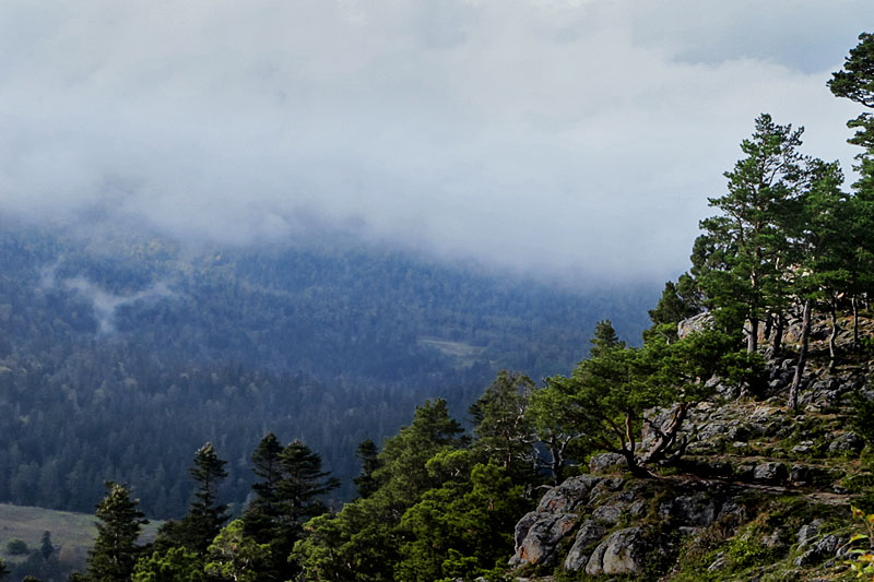 Am Lago-Naki Hochebene