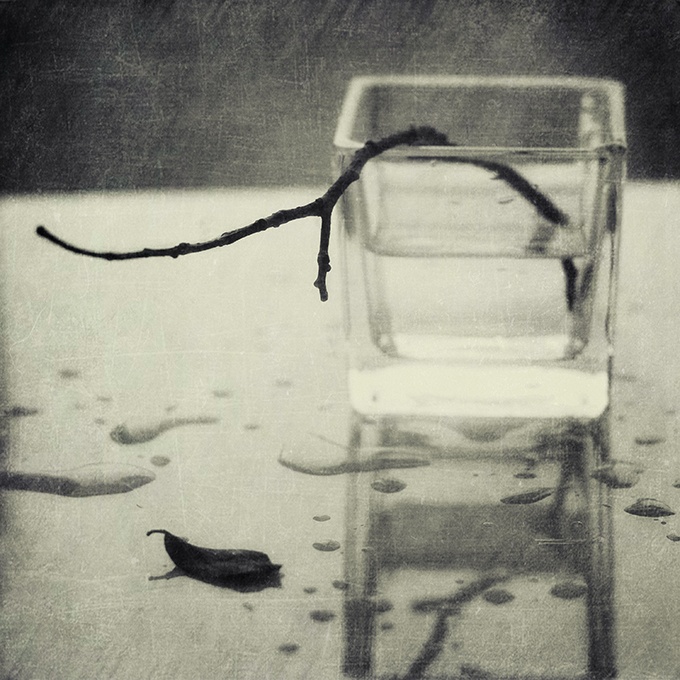 Schwarz und Weiß im November ....