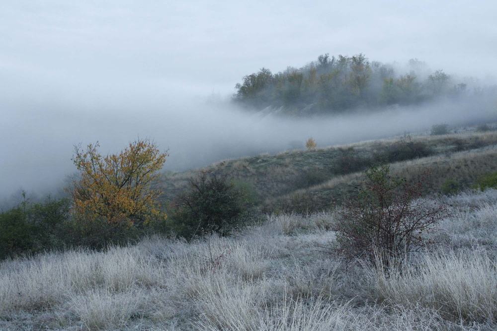 In der Umarmung der Wolken.