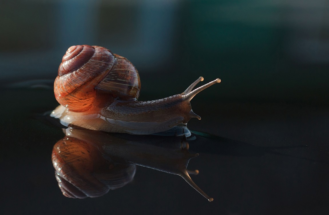 Ich bin ganz aus dem Feuer