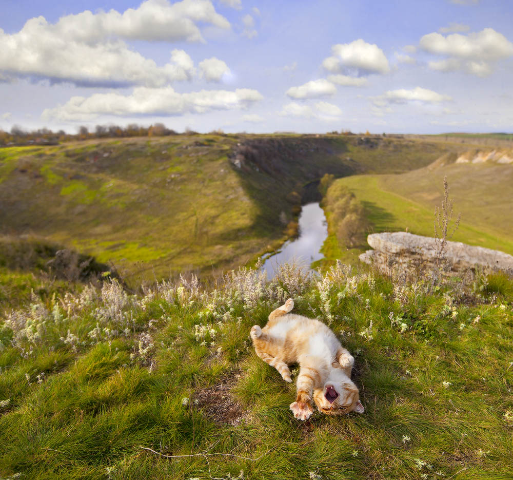 Oh, du bist das Leben razdolnaaaayayaya
