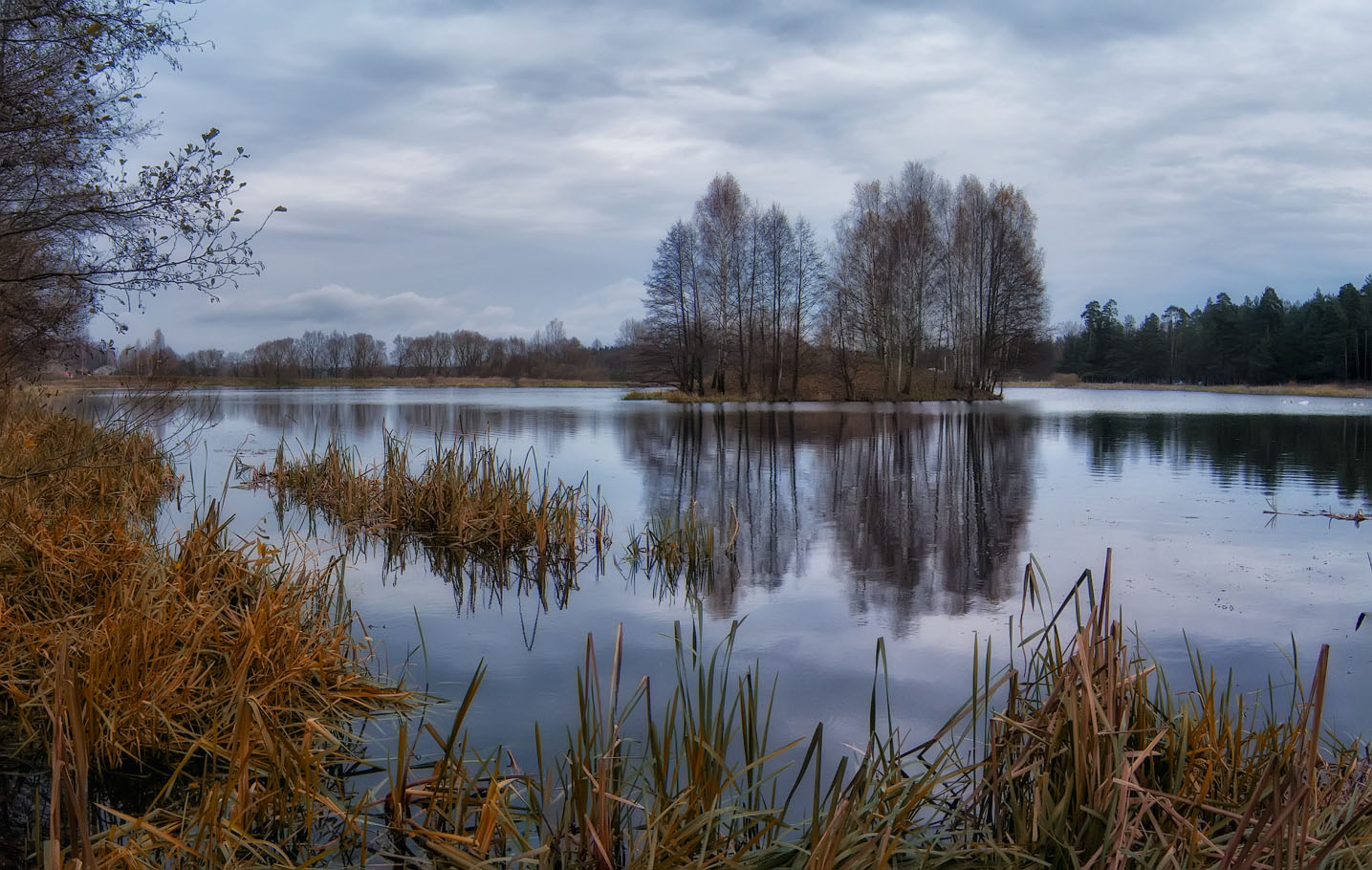 Seltener Sonne schien ...