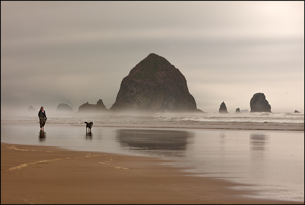 Ozean. Menschen. Hund.