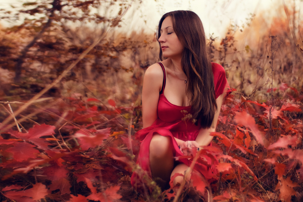 Geschenke des Herbstes ..