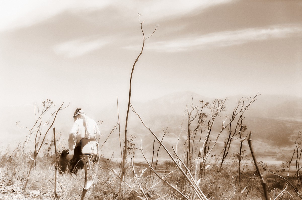 Ein Freund in der Not .... nicht aufgeben, nicht zu viel lässig, so dass bedeutet einen echten, wahren Freund ...