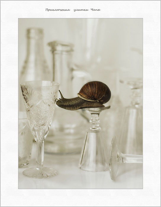 Adventures Chapa ...