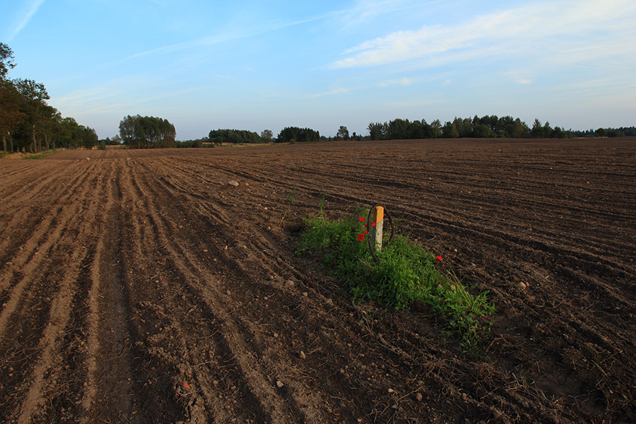 und das Schiff segelt