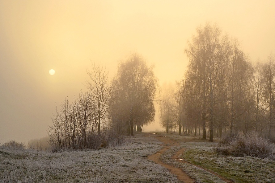 Ein frostiger Morgen