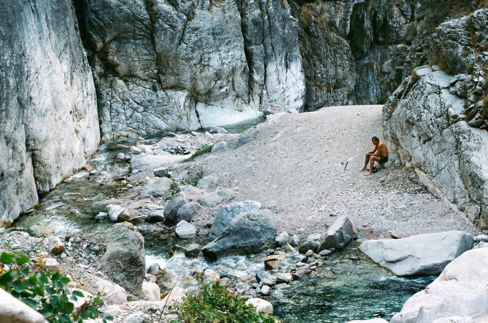 Tierheim einsame Seele