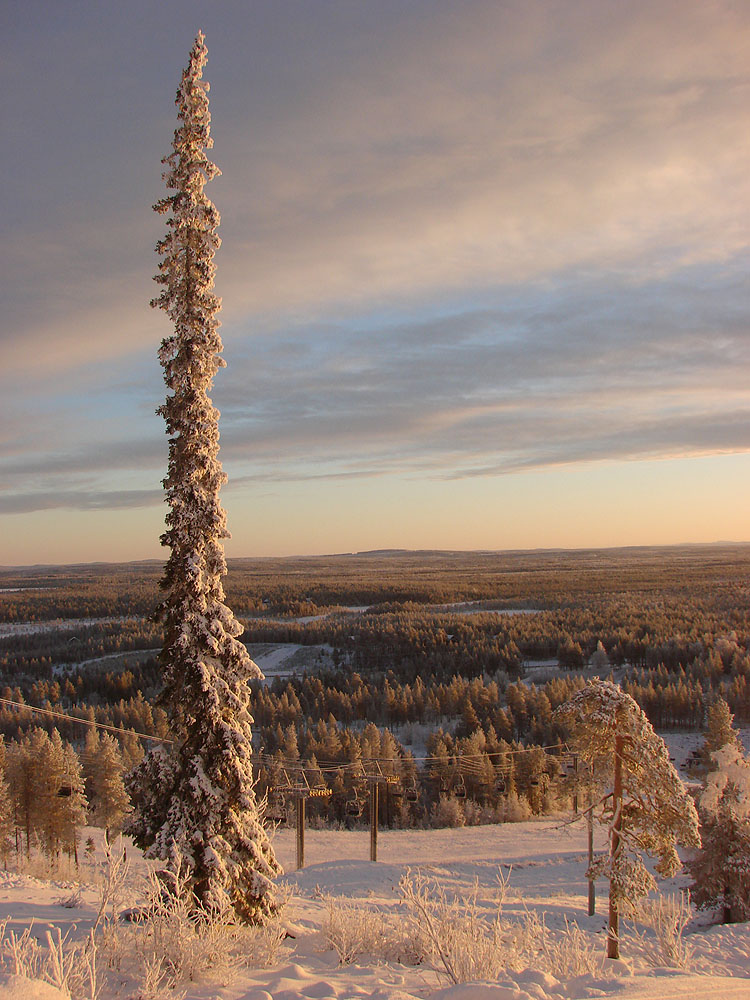 Herbst in Lappland