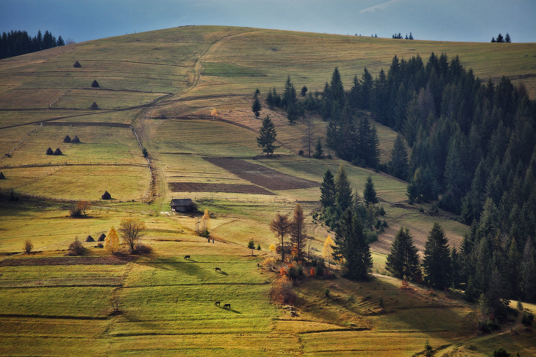 Karpaten. Anfang November.