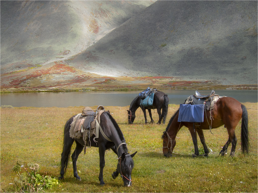 kurzen Stopp auf einem langen Weg