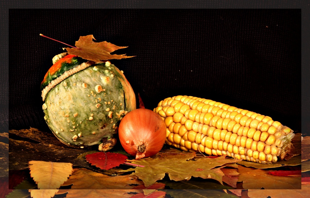Letzte Ernte im Herbst verlassen ....