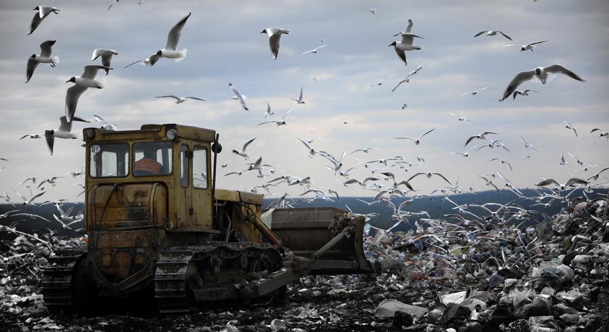 Non-marine Landschaft