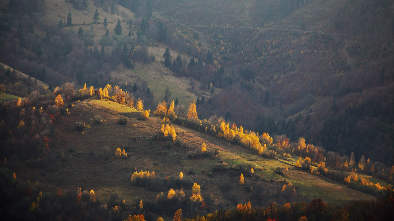 Abend Anfang November