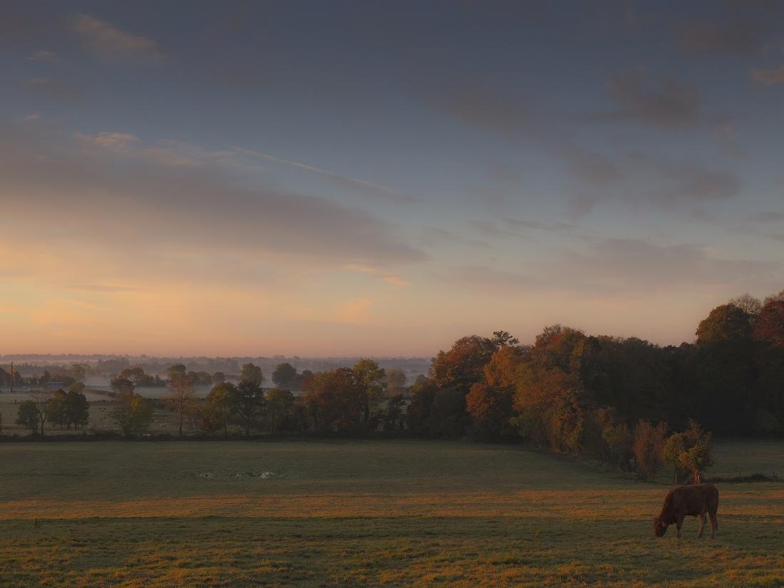 Dawn ... in Schweigen ...